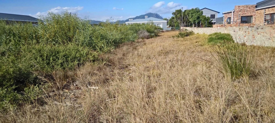 0 Bedroom Property for Sale in Fisherhaven Western Cape